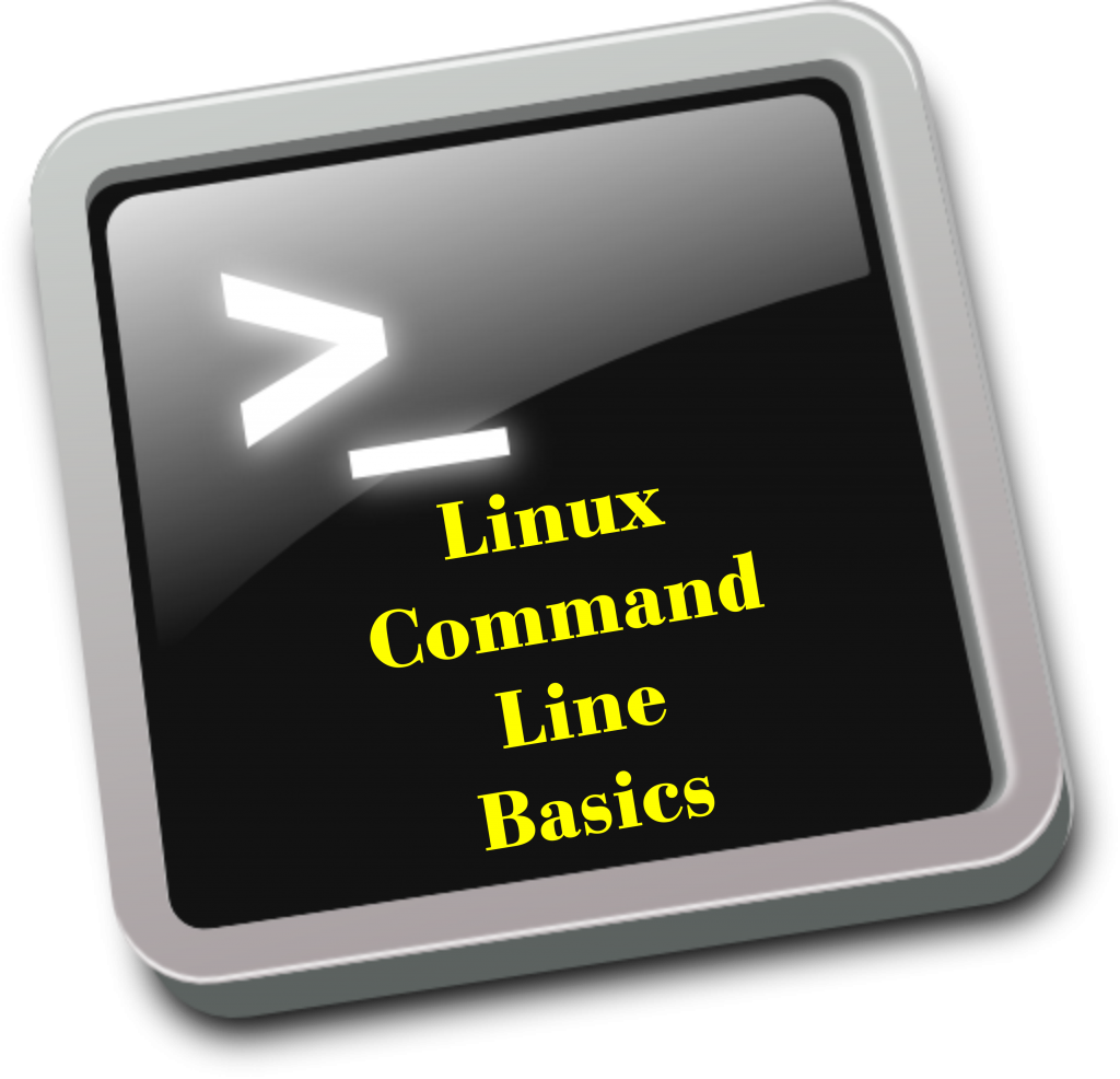 Linux command line basics